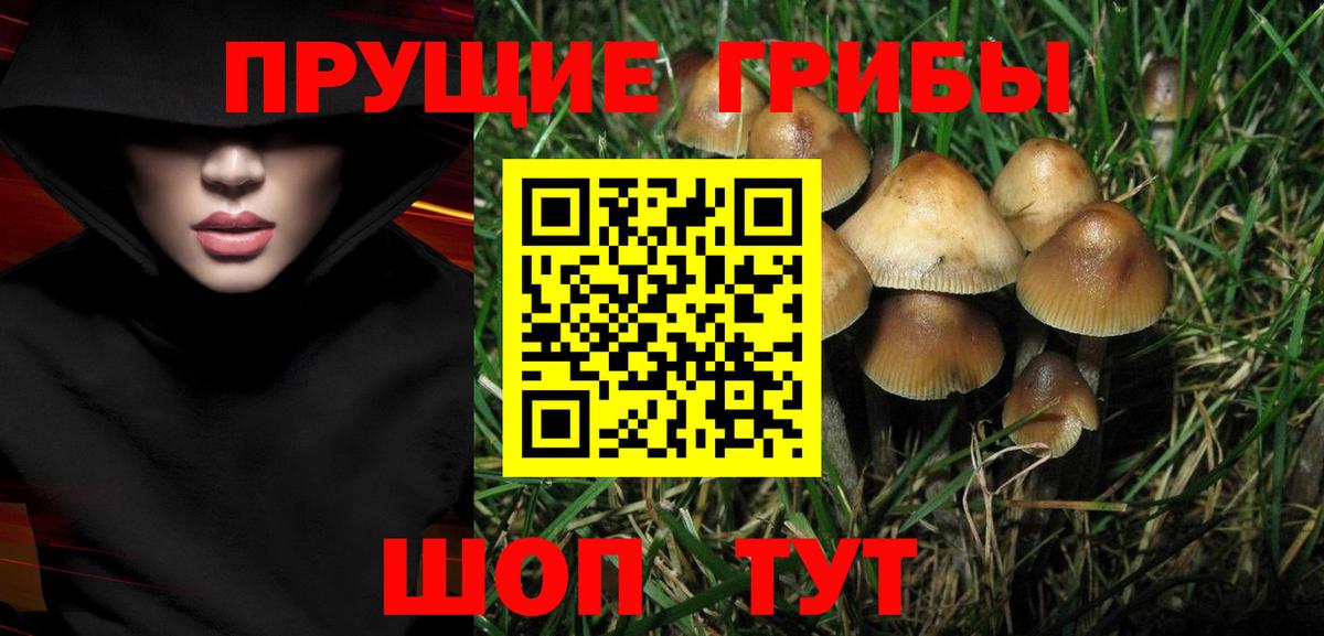 Кирово-Чепецк  Галлюциногенные грибы прущие грибы  Вход с VPN 